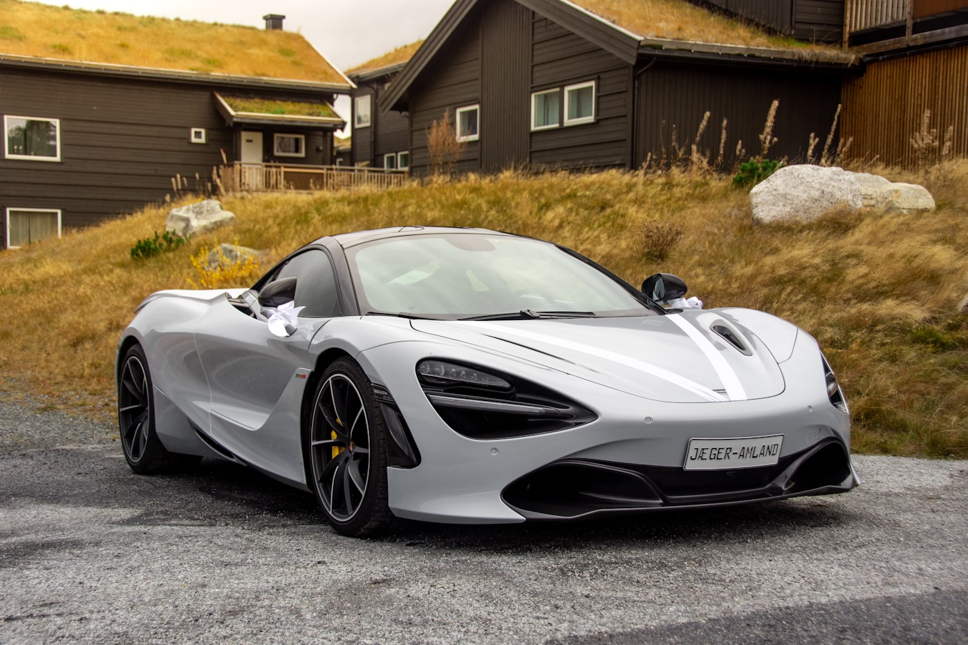 Detailed silver car